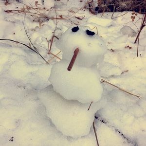 Meet your Posher, Guadalupe